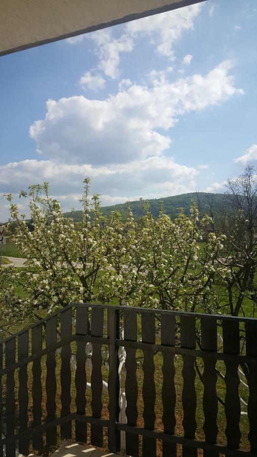 Apartment Silvia Slunj Esterno foto